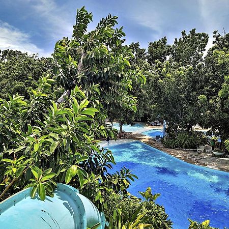 Dominiks Quite And Elegant Studio Ocean View Pool At Tambuli Resort High Floor Đảo Mactan Ngoại thất bức ảnh